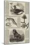 Sketches of Wildlife, Botany and Birds-null-Mounted Giclee Print
