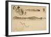 Sketches on the Coast Survey Plate-James Abbott McNeill Whistler-Framed Giclee Print