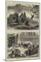 Sketches on the River Amazon in 1872, Part I-null-Mounted Giclee Print