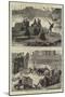 Sketches on the River Amazon in 1872, Part I-null-Mounted Giclee Print