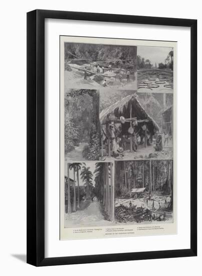 Sketches on the Venezuelan Boundary-null-Framed Giclee Print