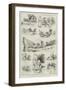 Sketches on the West Coast Coaching-Road of Canterbury and Nelson, New Zealand-null-Framed Giclee Print