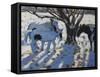 Skewbald Ponies in Winter, 2012-Andrew Macara-Framed Stretched Canvas