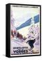 Ski 03-Vintage Apple Collection-Framed Stretched Canvas