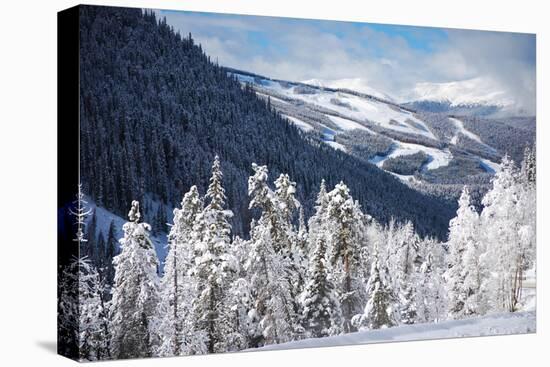 Ski Area from a Mountain Pass-budanatr-Stretched Canvas