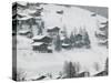 Ski Chalets, Grindelwald, Bern, Switzerland-Walter Bibikow-Stretched Canvas