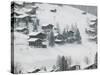 Ski Chalets, Grindelwald, Bern, Switzerland-Walter Bibikow-Stretched Canvas