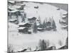 Ski Chalets, Grindelwald, Bern, Switzerland-Walter Bibikow-Mounted Photographic Print