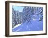 Ski Francais,Morzine, 2020, (oil on canvas)-Andrew Macara-Framed Giclee Print