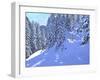 Ski Francais,Morzine, 2020, (oil on canvas)-Andrew Macara-Framed Giclee Print