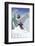 Ski France-Kem Mcnair-Framed Giclee Print