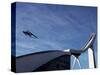 Ski Jumper, Blue Sky and Ski Jump, Oslo, Norway, Scandinavia, Europe-Purcell-Holmes-Stretched Canvas