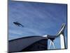 Ski Jumper, Blue Sky and Ski Jump, Oslo, Norway, Scandinavia, Europe-Purcell-Holmes-Mounted Photographic Print