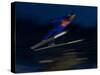 Ski Jumper in Action, Torino, Italy-Chris Trotman-Stretched Canvas