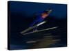 Ski Jumper in Action, Torino, Italy-Chris Trotman-Stretched Canvas