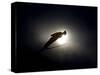 Ski Jumper in Action, Torino, Italy-Chris Trotman-Stretched Canvas