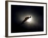 Ski Jumper in Action, Torino, Italy-Chris Trotman-Framed Photographic Print