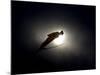 Ski Jumper in Action, Torino, Italy-Chris Trotman-Mounted Photographic Print