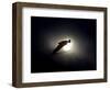 Ski Jumper in Action, Torino, Italy-Chris Trotman-Framed Photographic Print