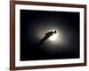 Ski Jumper in Action, Torino, Italy-Chris Trotman-Framed Photographic Print