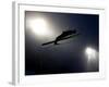 Ski Jumper in Action, Torino, Italy-Chris Trotman-Framed Photographic Print