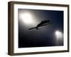 Ski Jumper in Action, Torino, Italy-Chris Trotman-Framed Photographic Print