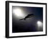 Ski Jumper in Action, Torino, Italy-Chris Trotman-Framed Photographic Print