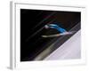 Ski Jumper in Action, Torino, Italy-Chris Trotman-Framed Photographic Print