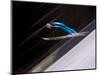 Ski Jumper in Action, Torino, Italy-Chris Trotman-Mounted Photographic Print