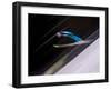 Ski Jumper in Action, Torino, Italy-Chris Trotman-Framed Photographic Print