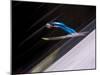 Ski Jumper in Action, Torino, Italy-Chris Trotman-Mounted Photographic Print