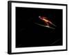 Ski Jumper in Action, Torino, Italy-Chris Trotman-Framed Photographic Print