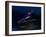 Ski Jumper in Action, Torino, Italy-Chris Trotman-Framed Photographic Print