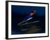 Ski Jumper in Action, Torino, Italy-Chris Trotman-Framed Photographic Print