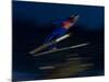 Ski Jumper in Action, Torino, Italy-Chris Trotman-Mounted Photographic Print