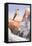 Ski Jumper-null-Framed Stretched Canvas