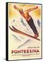 Ski Jumping Poster-null-Framed Stretched Canvas