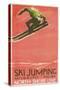 Ski Jumping Poster-null-Stretched Canvas
