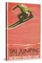 Ski Jumping Poster-null-Stretched Canvas