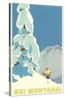 Ski Montana, Snow on Pine Tree-null-Stretched Canvas