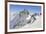 Ski mountaneering, Forni glacier, Italy, Alps. Ski mountaneering at Forni Glacier in italian Alps-ClickAlps-Framed Photographic Print