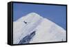 Ski Plane Near Mount Mckinley Base Camp-null-Framed Stretched Canvas