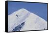 Ski Plane Near Mount Mckinley Base Camp-null-Framed Stretched Canvas