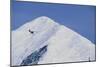 Ski Plane Near Mount Mckinley Base Camp-null-Mounted Photographic Print