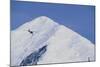 Ski Plane Near Mount Mckinley Base Camp-null-Mounted Photographic Print