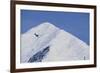 Ski Plane Near Mount Mckinley Base Camp-null-Framed Photographic Print