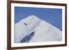 Ski Plane Near Mount Mckinley Base Camp-null-Framed Photographic Print