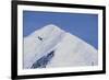 Ski Plane Near Mount Mckinley Base Camp-null-Framed Photographic Print