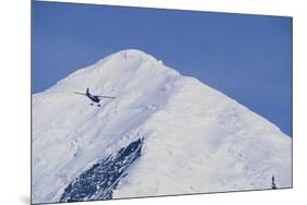 Ski Plane Near Mount Mckinley Base Camp-null-Mounted Photographic Print