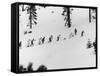 Ski Slope at Squaw Valley During Winter Olympics-George Silk-Framed Stretched Canvas